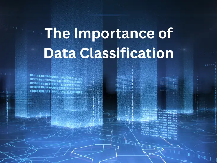 Unleashing the Potential: The Importance of Data Classification
